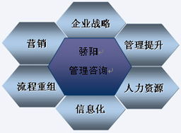 沈阳骄阳企业管理咨询 专业认证咨询助力企业卓越发展